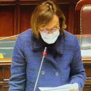 SALUTE MENTALE: con Rosina e Favali la Fnas al tavolo ministeriale