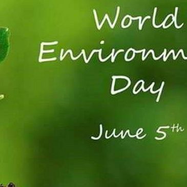 Giornata mondiale dell’ambiente … quest’anno vale di più