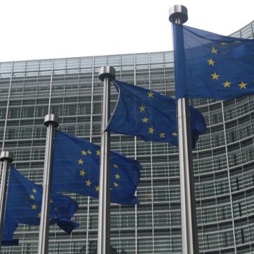 Co-Efficienti a Bruxelles. Esperienze e strategie europee a confronto